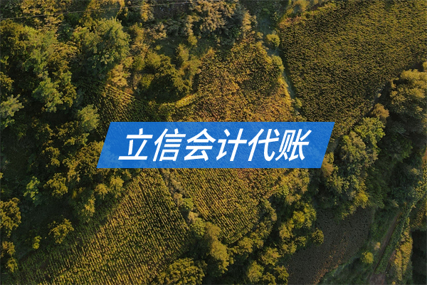 農(nóng)林漁牧會計服務(wù)